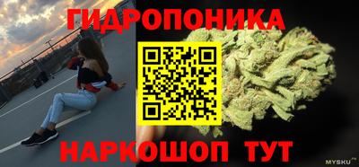 эйфоретик Будённовск