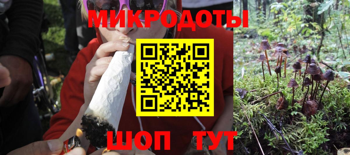 Псилоцибиновые грибы прущие грибы  Вход с VPN  Псилоцибиновые грибы Cubensis  Реутов 
