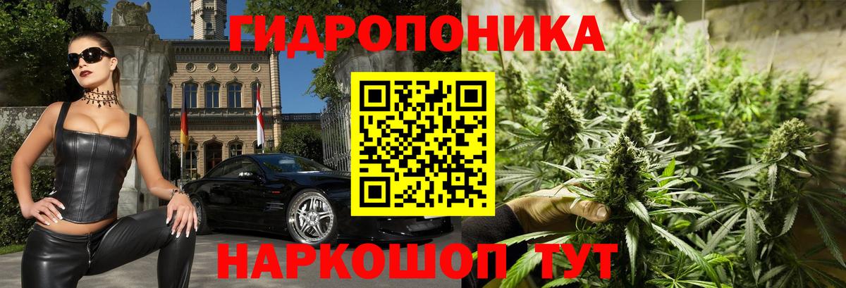 МАРИХУАНА план Реутов